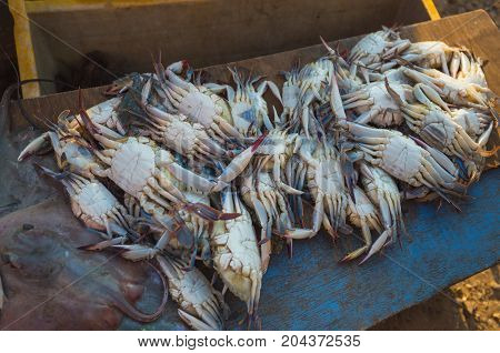 Sale Of Crabs In The Markets Of India