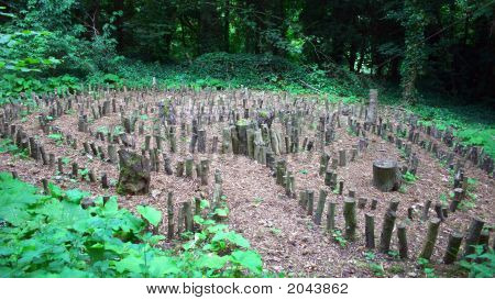 Puinen labyrintti