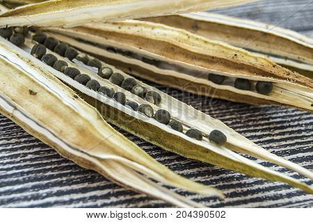 okra seeds, okra produce seed, okra seed for sowing,