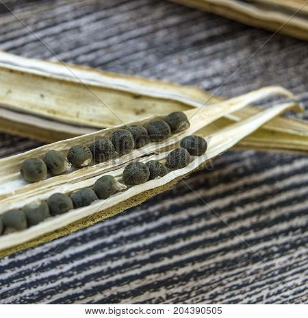 okra seeds, okra produce seed, okra seed for sowing,