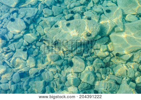 Rocky seafloor visible through turquoise transparent water and black urchin on seafloor.