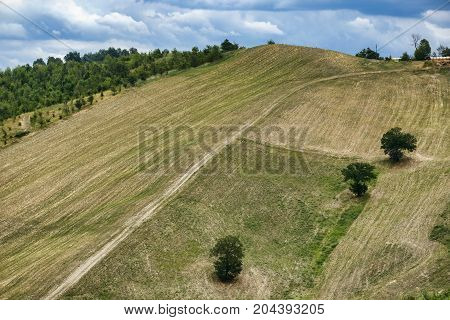 Summer landscape along the road from Maranello to Serramazzoni (Modena Emilia Romagna Italy) at summer