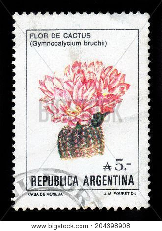 ARGENTINA - CIRCA 1987: a stamp printed in the Argentina shows gymnocalycium bruchii, cactus from the genus Gymnocalicium, name is given in honor of the argentine photographer and entomologist Carlos Bruch, series, circa 1987