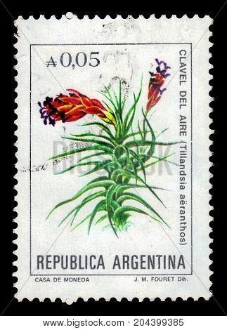 ARGENTINA - CIRCA 1985: a stamp printed in the Argentina shows tillandsia aeranthos, flowering plant is a species in the genus Tillandsia, series, circa 1985