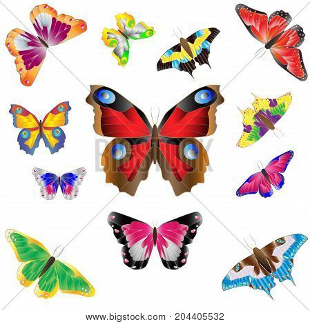various colorful bright butterflies on white background