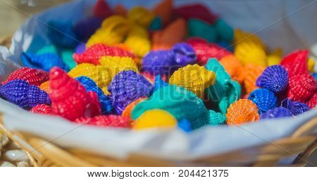 sea shells background beautiful beauty beige brown collection