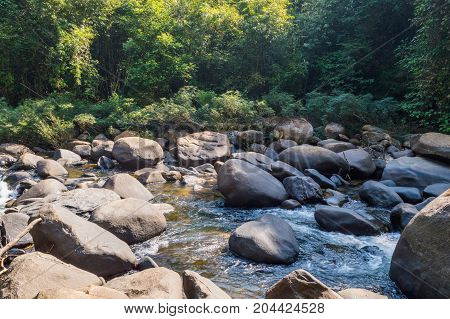 Scenery In Khao Sok National Park In Thailand. Khao Sok National Park The Rain Jungle Forest In Sura