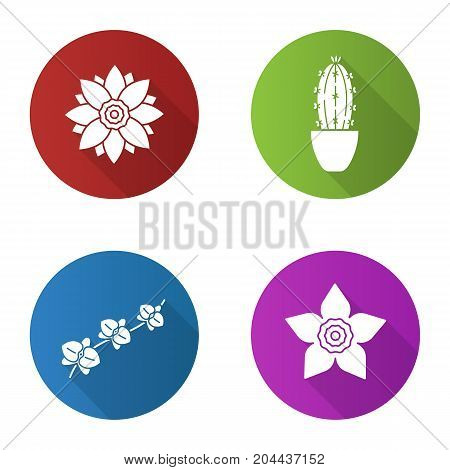 Flowers flat design long shadow glyph icons set. Lotus, daffodil, orchid, branch, cactus in flowerpot. Vector silhouette illustration