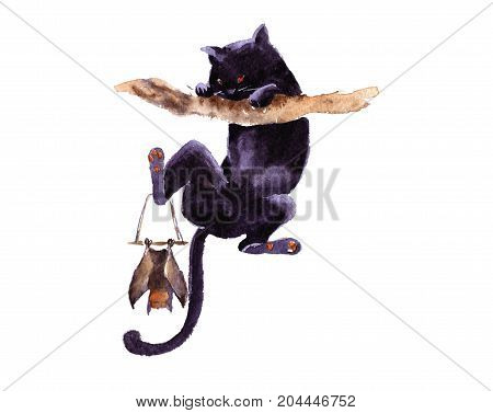 Halloween cat on three take the bat