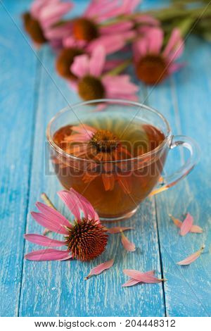 Cup of echinacea tea on blue wooden table.