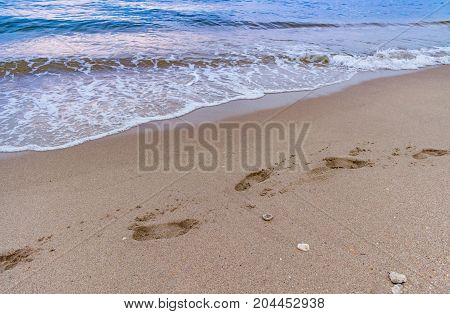 blue waves crashing on the shore with shells and footprints in the sand on a summer morning