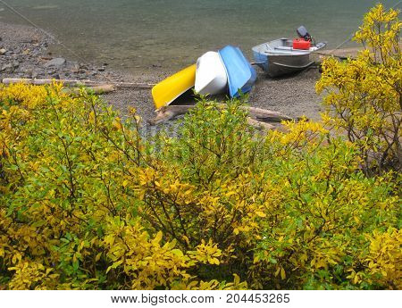 Boats left for the day on the edge of a river