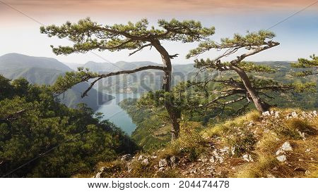 Tara National Park, Serbia. View from famous Banjska stena, Drina river in the distance
