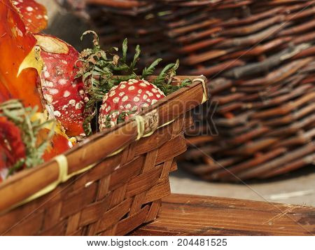 Amanite Muscle Fungi In The Basket