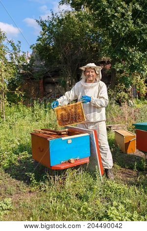 beekeeper holding a honeycomb full of bees. Beekeeper in protective workwear inspecting honeycomb frame at apiary. Beekeeping concept. Beekeeper harvesting honey