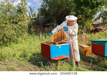 beekeeper holding a honeycomb full of bees. Beekeeper in protective workwear inspecting honeycomb frame at apiary. Beekeeping concept. Beekeeper harvesting honey