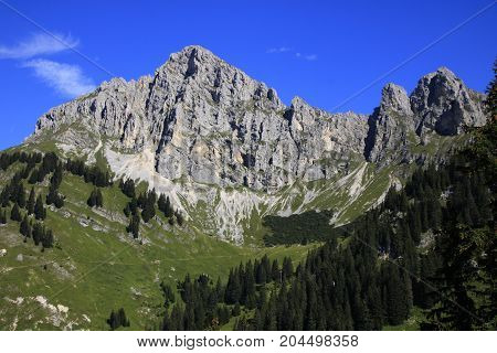 view to the tannheimer alps in Austria