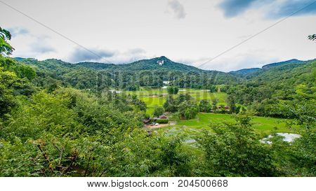 High angle view of Rice fields and mountains.
