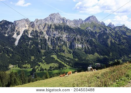 view to the tannheimer alps in Austria