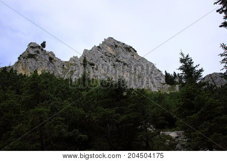 view to the tannheimer alps in Austria