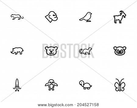 Set Of 12 Editable Zoo Outline Icons. Includes Symbols Such As Crow, Puma, Rhinoceros And More