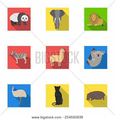 Ostrich emu, crocodile, giraffe, tiger, penguin and other wild animals. Artiodactyla, mammalian predators and animals set collection icons in flat style vector symbol stock illustration .