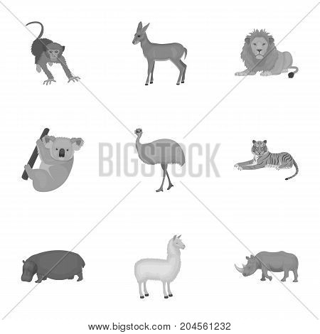 Ostrich emu, crocodile, giraffe, tiger, penguin and other wild animals. Artiodactyla, mammalian predators and animals set collection icons in monochrome style vector symbol stock illustration .