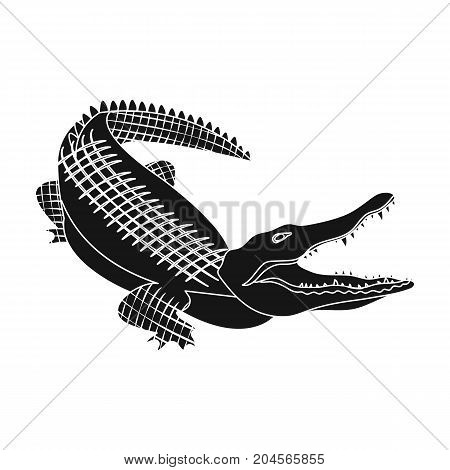 Crocodile, dangerous predator. Reptile, Nile crocodile single icon in black style vector symbol stock illustration .