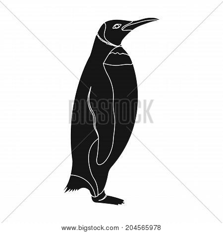 Penguin, flightless sea bird. The Imperial Penguin single icon in black style vector symbol stock illustration .
