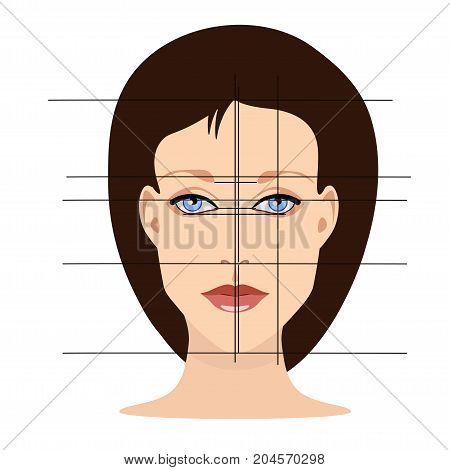 Vector face with lines showing facial proportions for cosmetology and drawing study in primitive style isolated
