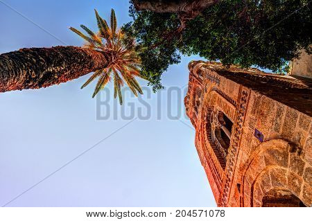 Belltower of church Martorana with palm trees, Palermo. Sicily. Beautiful architecture of the historical district.