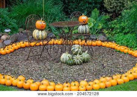 nice garden in Germany with a lot of pumpkins