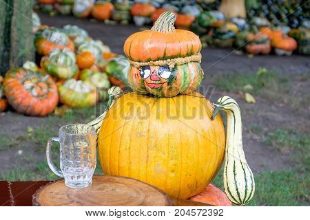 nice garden in Germany with a lot of pumpkins