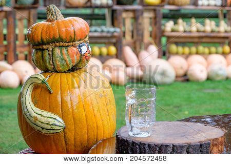 nice garden in Germany with a lot of pumpkins