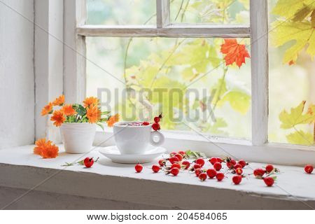 tea with berries of a dogrose on a windowsill