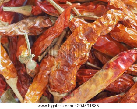 Hot Chili Pepper Vegetables Food