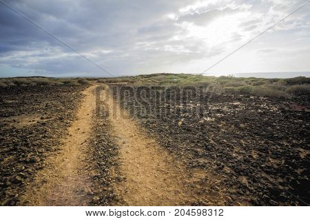 Countryside Desert Dirt Road