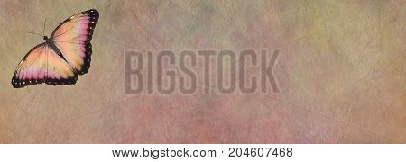 Butterfly Message Board - a single peach coloured open winged butterfly in left top corner on a wide rustic peach colored stone effect background with copy space for messages