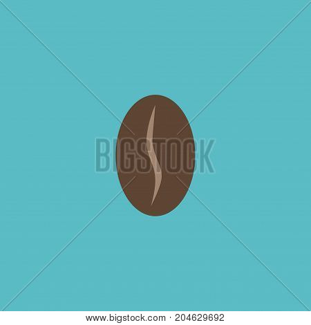 Flat Icon Seed Element. Vector Illustration Of Flat Icon Arabica Bean Isolated On Clean Background