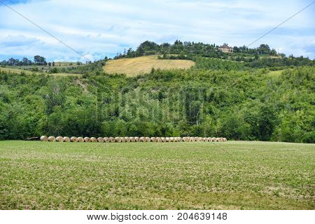 Summer landscape along the road from Maranello to Serramazzoni (Modena Emilia Romagna Italy) at summer
