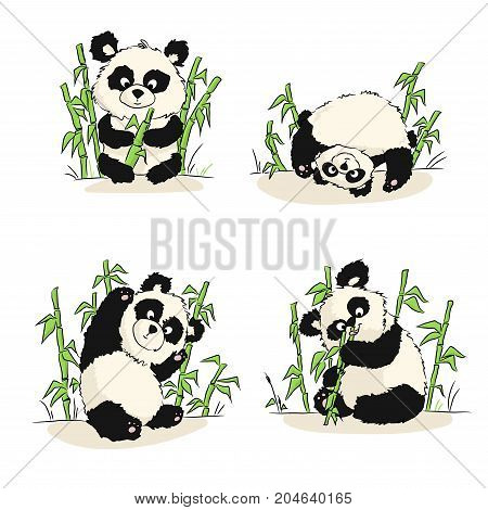A Set Of Illustrations With A Panda Cub. Panda Sitting, Eating, Playing. Hand Drawing.