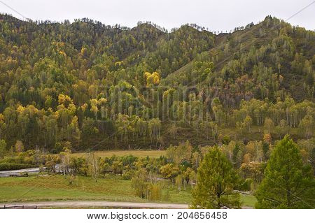 Altai mountains in autumn. Yellow and green