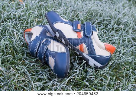 fashionable leather shoes for children on the grass with frost