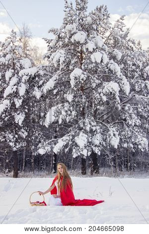 Girl in costume Little Red Riding Hood with dog like a wolf and a basket with apples and pies in the winter in the woods in the snow