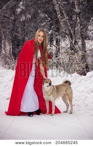 Girl in costume Little Red Riding Hood with dog like a wolf and a basket with apples and pies in the winter in the woods in the snow