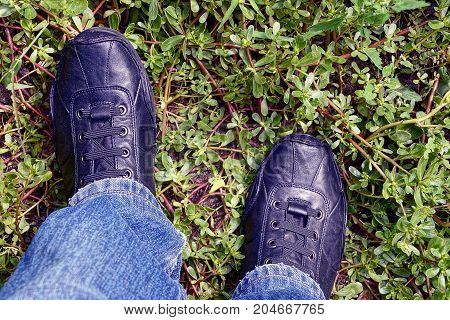 black leather shoes on their feet stand on green vegetation