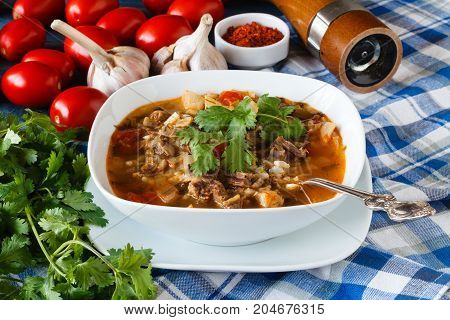 Georgian cuisine hot soup kharcho on table