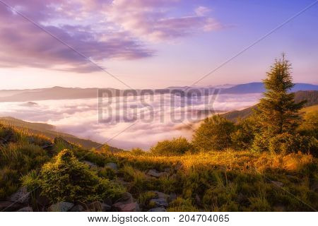 beautiful foggy summer sunrise landscape in the mountains, east Europe travel, Carpathian national park, west Ukraine, beeauty world, wallpaper background landscape