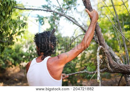 A man holding a tree branch in the orchard