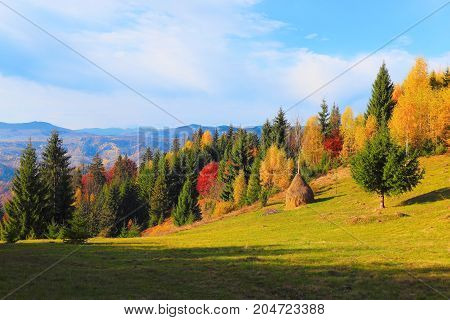 On the yellow grass lawn there are green lush fair trees with the background of autumn mountains and forests in sunny morning.